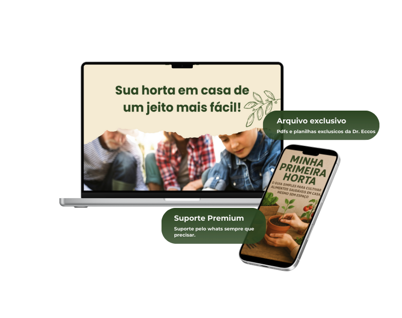 Imagem site roberto (5)